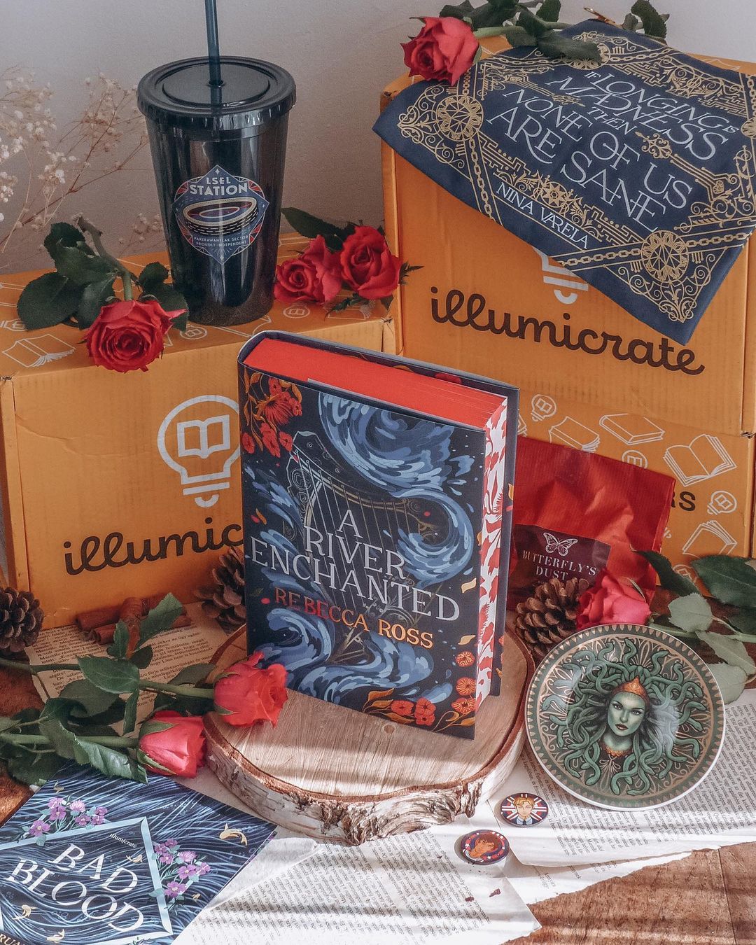 A River Enchanted by Rebecca Ross (Illumicrate 'Bad Blood' Exclusive)