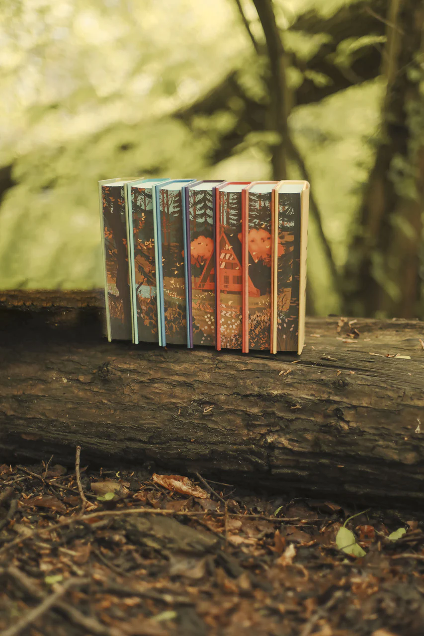 Bergman Brothers series by Chloe Liese (Afterlight Exclusive) - Image 3