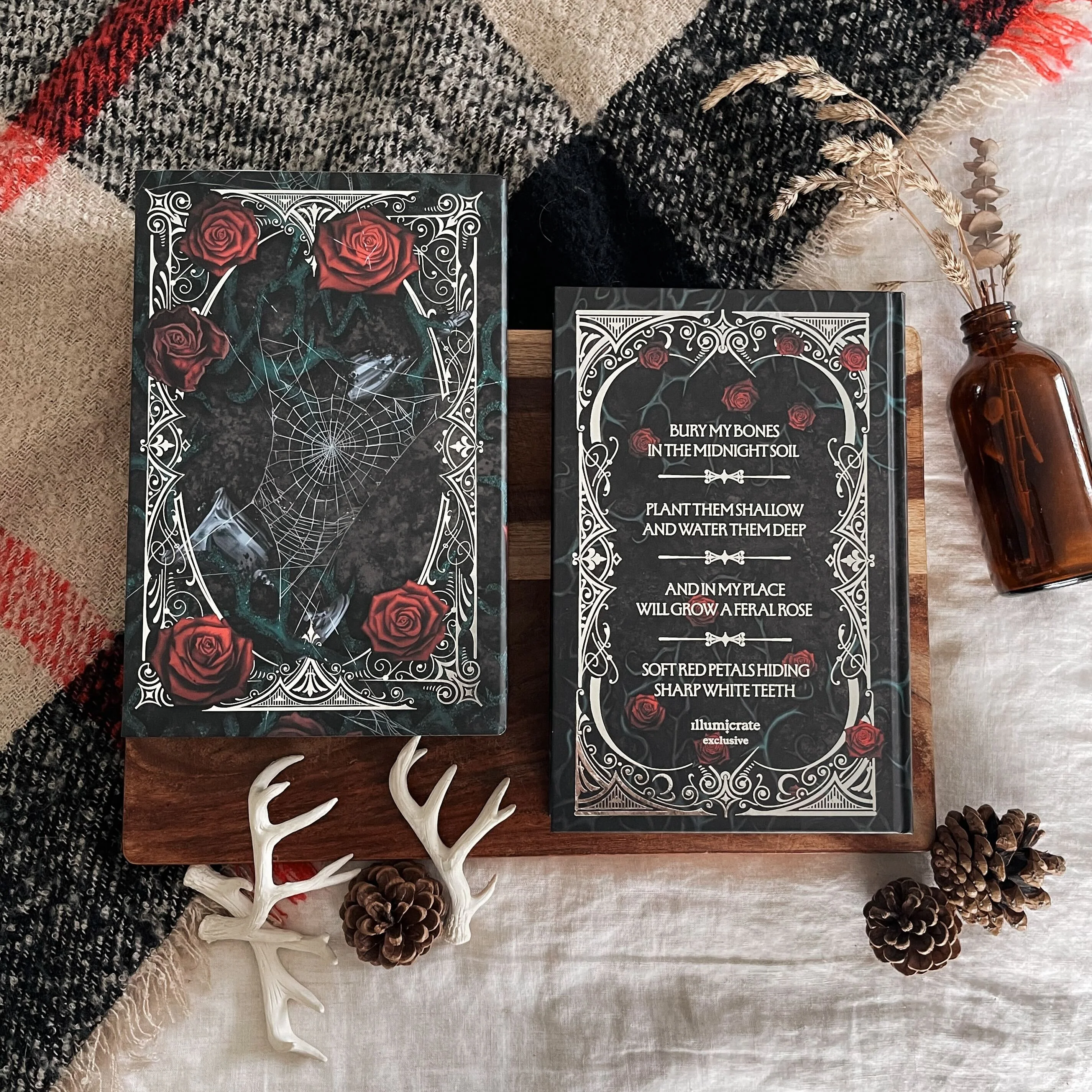 Bury Our Bones In The Midnight Soil by V.E. Schwab (Illumicrate Exclusive) - Image 2
