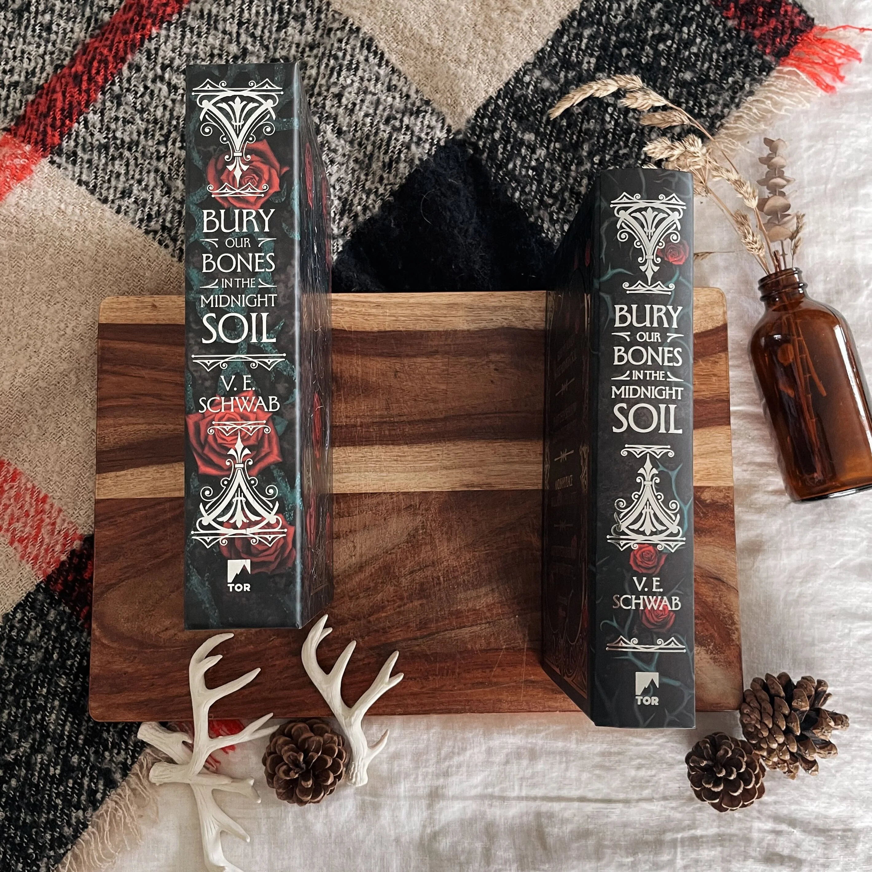 Bury Our Bones In The Midnight Soil by V.E. Schwab (Illumicrate Exclusive) - Image 3