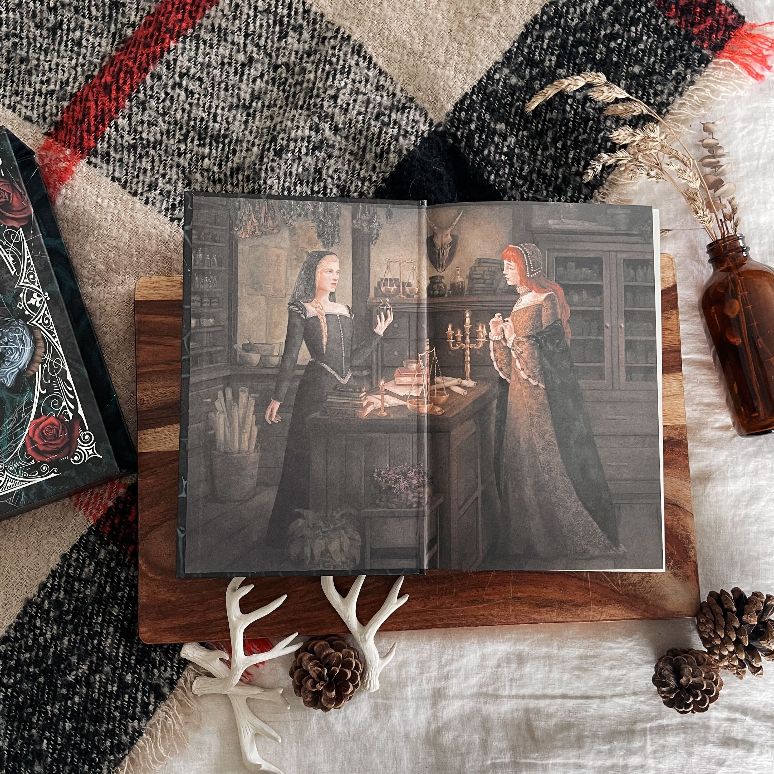 Bury Our Bones In The Midnight Soil by V.E. Schwab (Illumicrate Exclusive) - Image 5