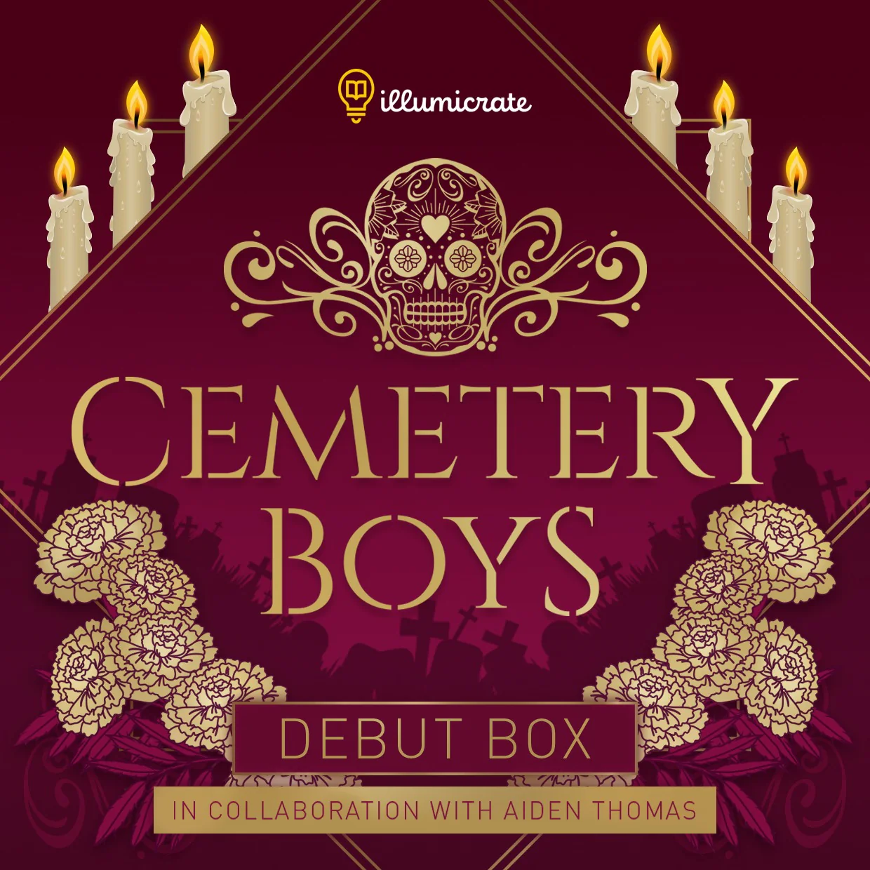 Cemetery Boys by Aiden Thomas (Debut Box) - Image 2