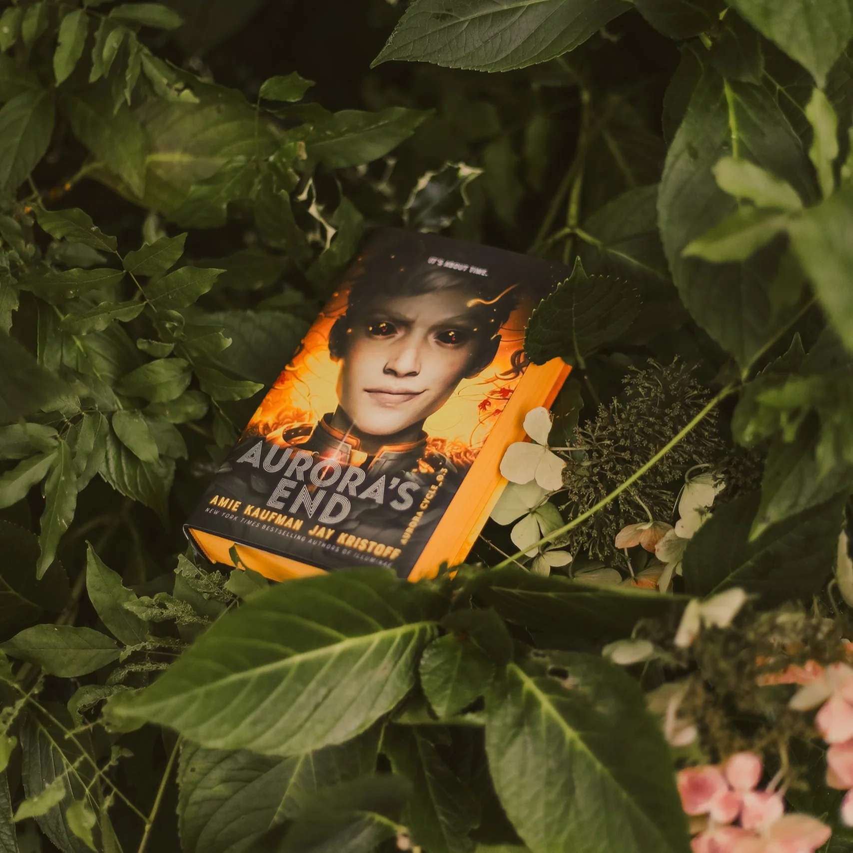 Aurora's End by Amie Kaufman and Jay Kristoff (Illumicrate Exclusive)