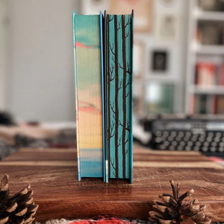 House in the Cerulean Sea & Under the Whispering Door reprint by TJ Klune (Illumicrate Exclusive) - Image 3