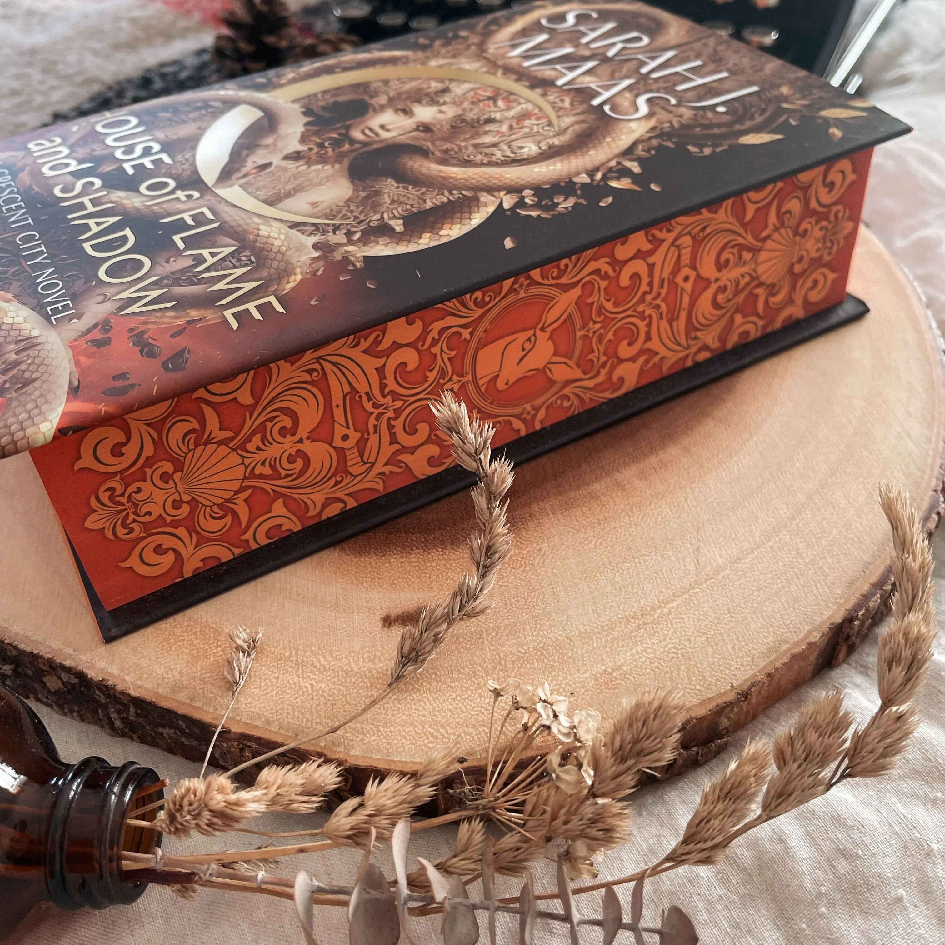 House of Flame and Shadow by Sarah J Maas (Illumicrate Exclusive) - Image 4