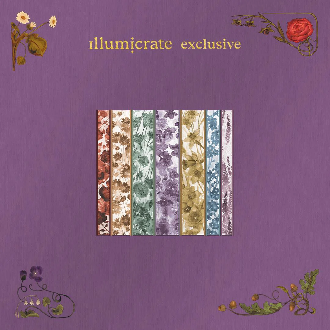 Jane Austen set (Illumicrate Exclusive) - Image 6