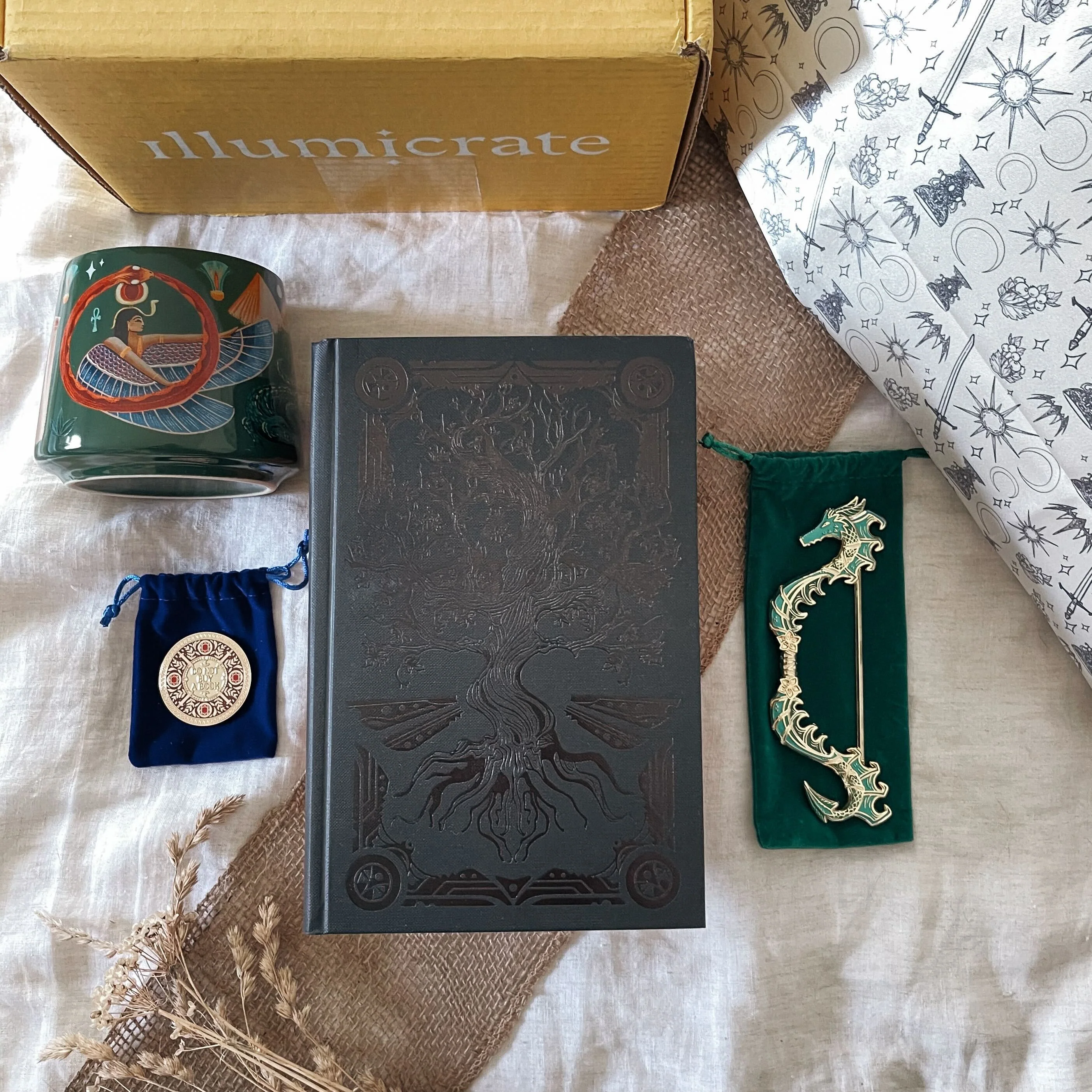 A Song of Legends Lost by M. H. Ayinde full box (Illumicrate 'Ancient Artefacts' Exclusive) - Image 2