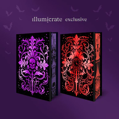 Silver Under Nightfall duology by Rin Chupeco (Illumicrate Exclusive) - Image 6
