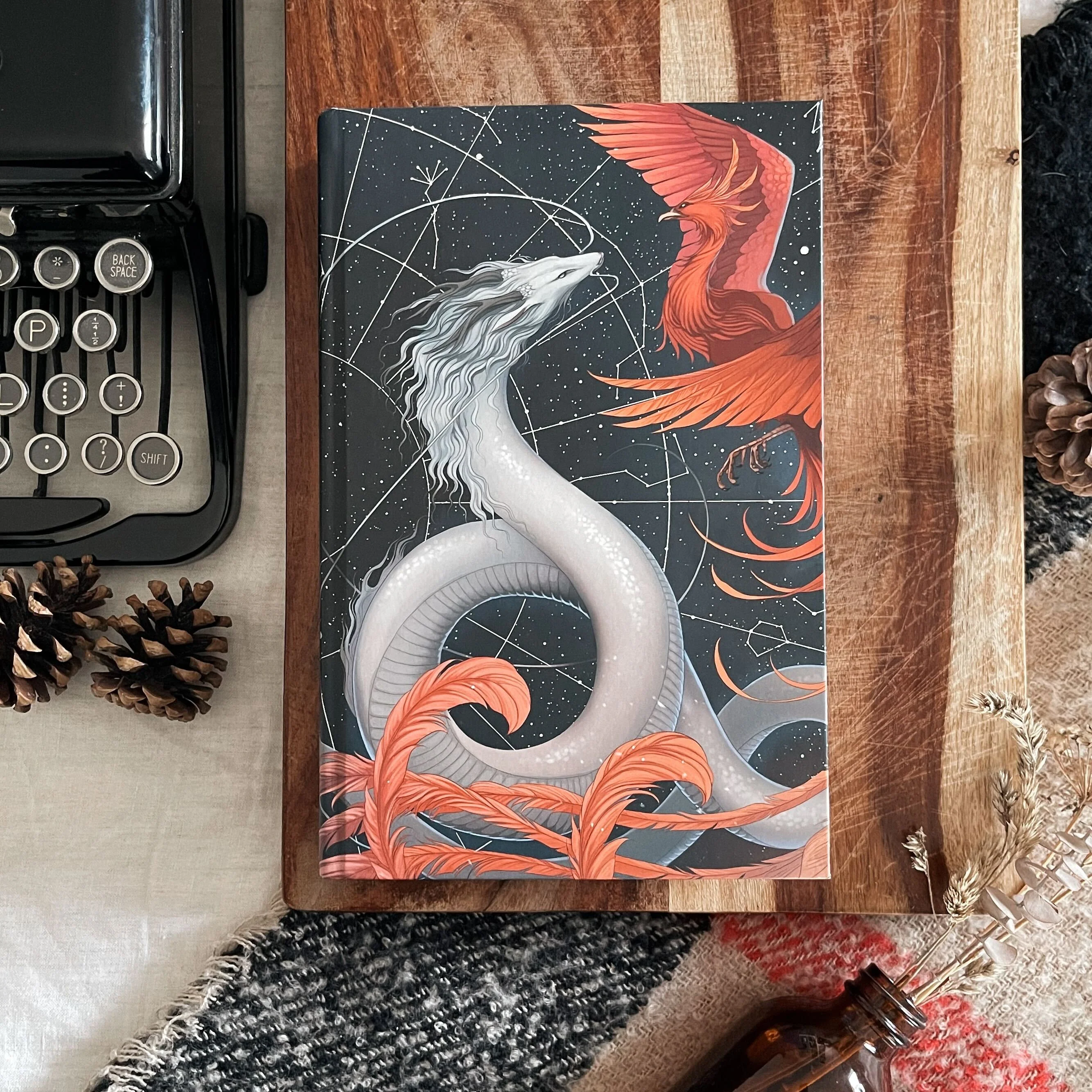 Song of Silver, Flame Like Night by Amelie Wen Zhao book only (Illumicrate 'Into the Fire' Exclusive) - Image 2