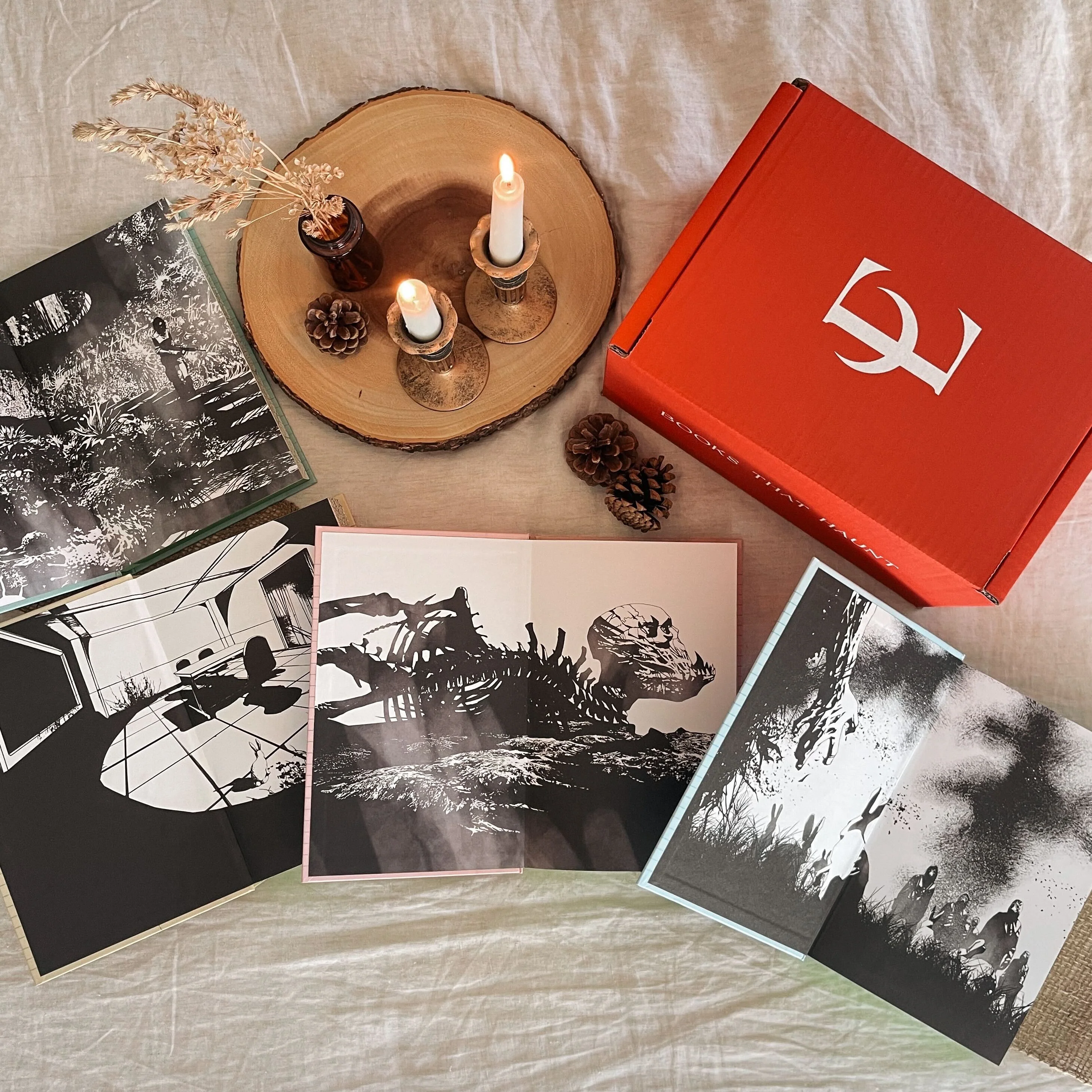 Southern Reach set by Jeff Vandermeer (Evernight Exclusive) - Image 3