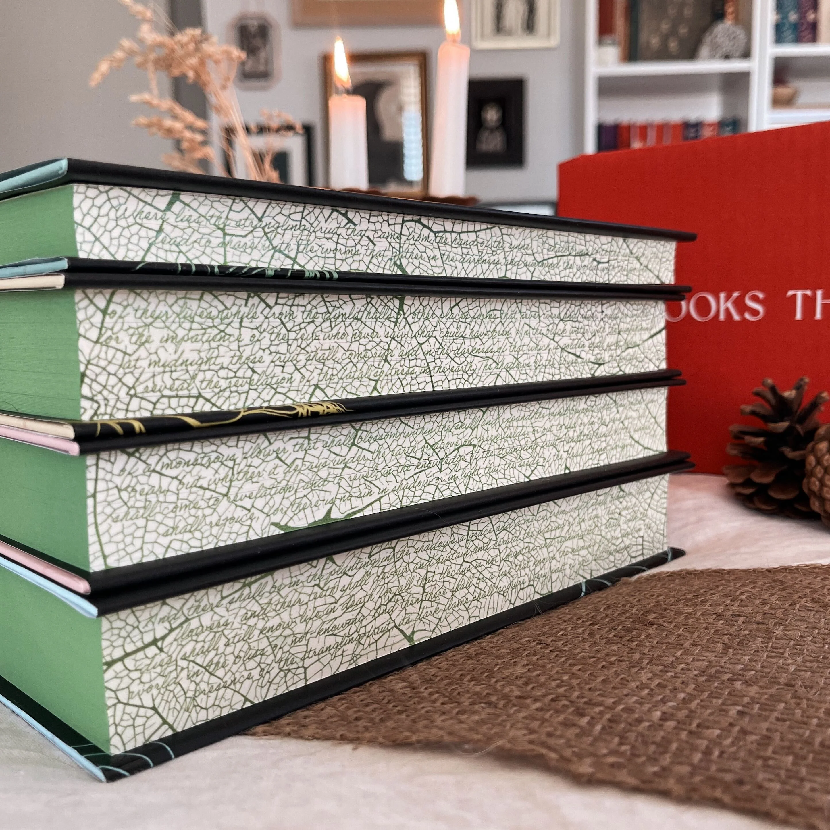 Southern Reach set by Jeff Vandermeer (Evernight Exclusive) - Image 4