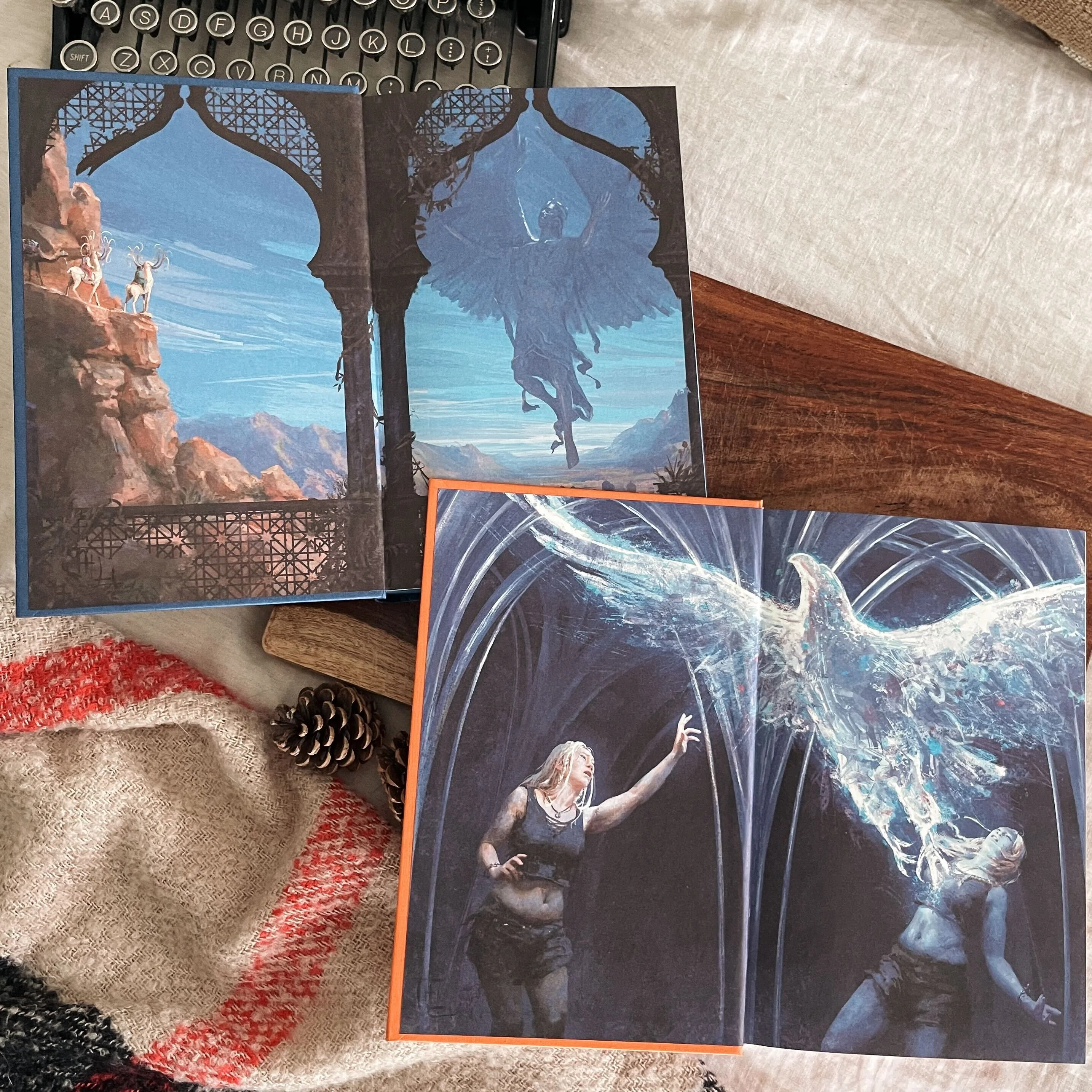 Strange the Dreamer set by Laini Taylor (Illumicrate Exclusive) - Image 5
