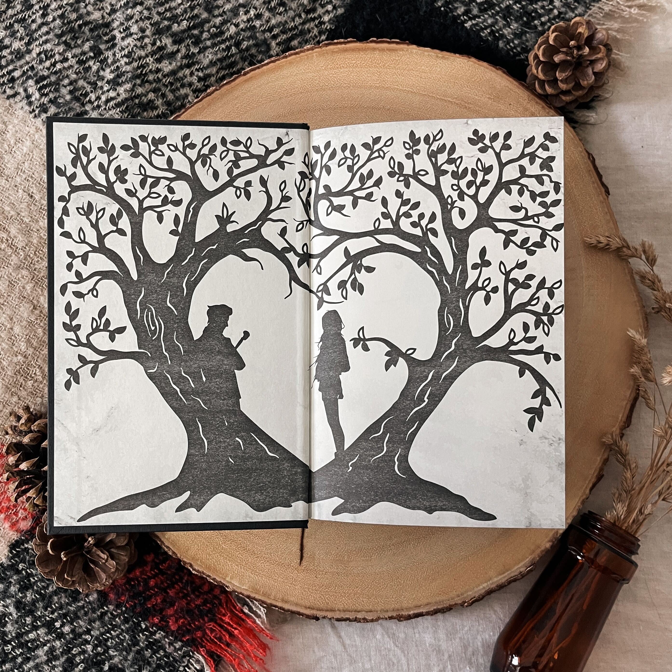 The Invisible Life of Addie LaRue by V.E Schwab (Illumicrate Exclusive) - Image 3