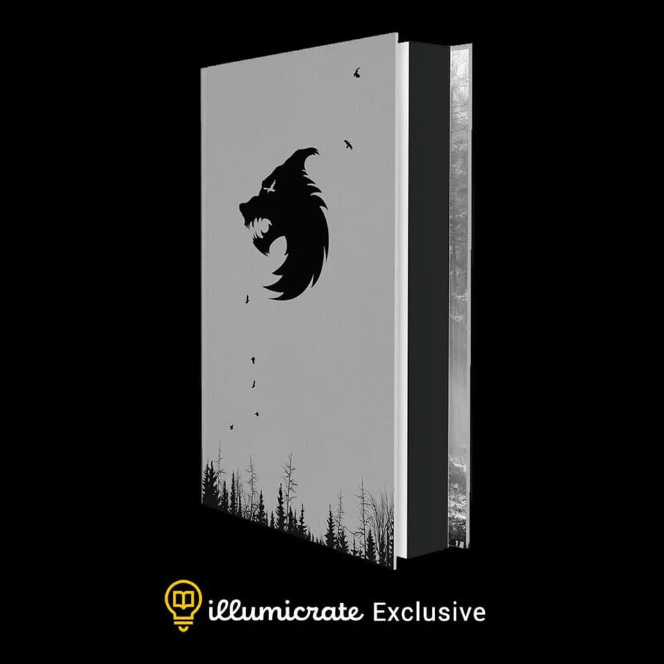 The Last Wish by Andrzej Sapkowski (Illumicrate Exclusive) - Image 3