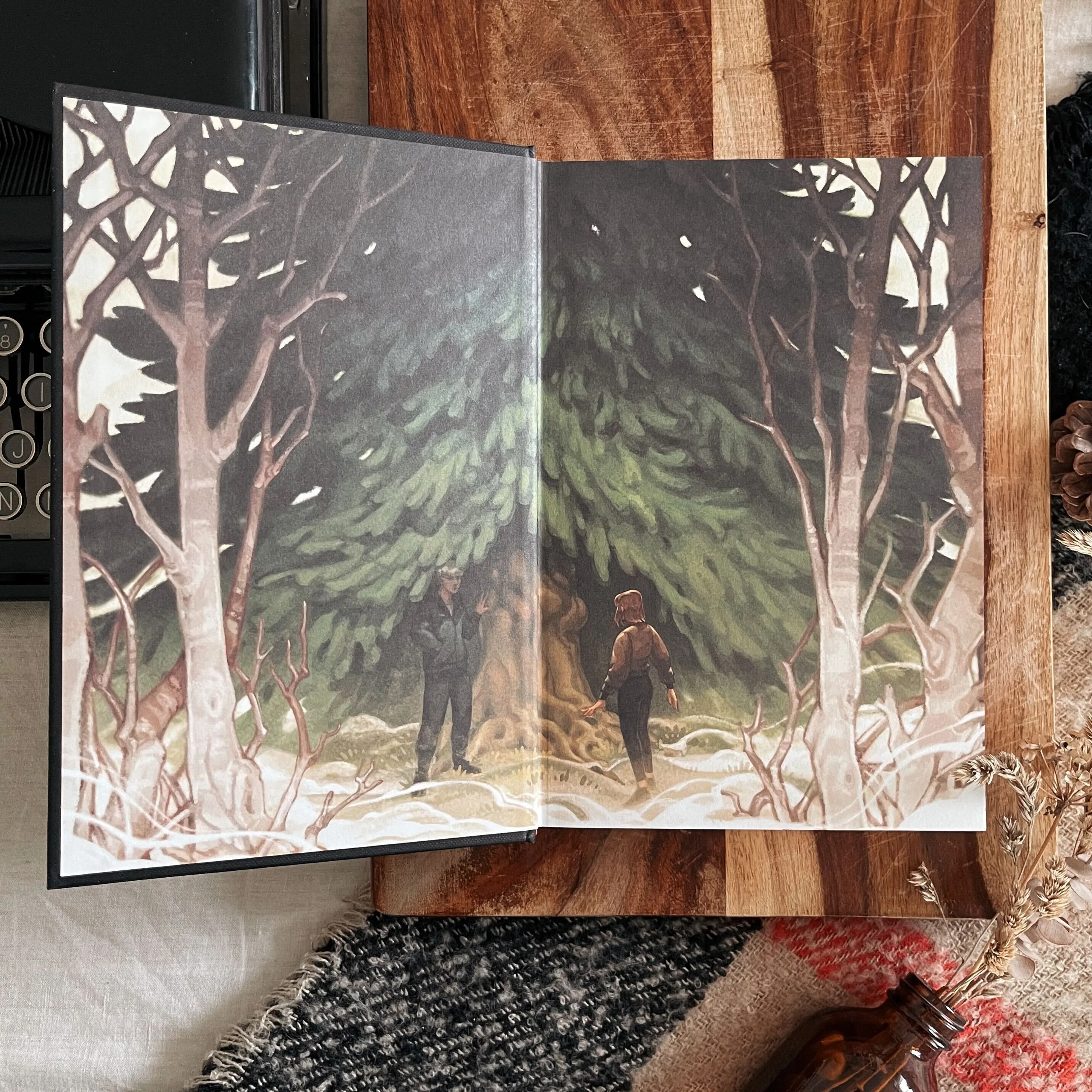 The Luminaries by Susan Dennard (Illumicrate Exclusive) - Image 3