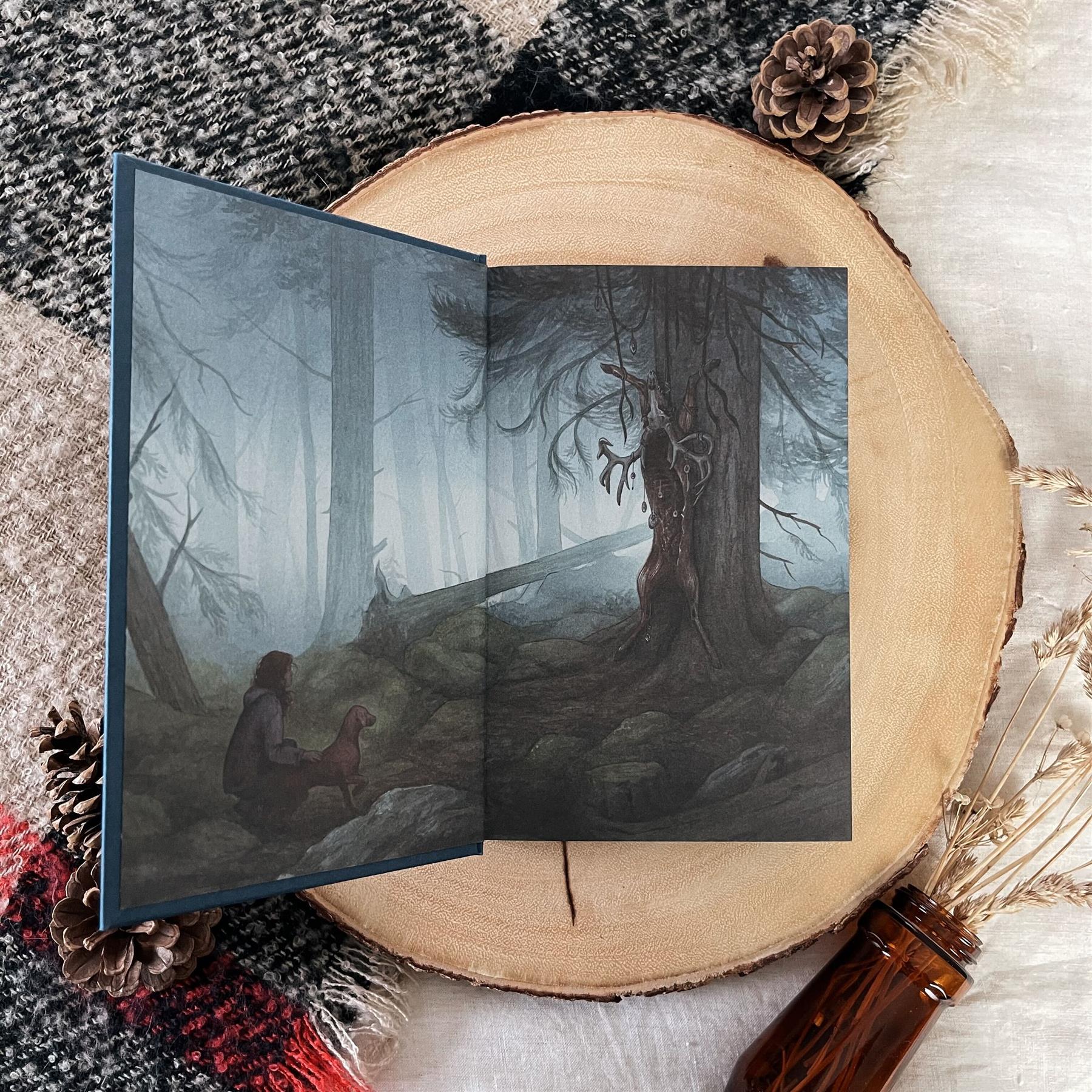 The Twisted Ones by T. Kingfisher (Evernight Exclusive) - Image 4