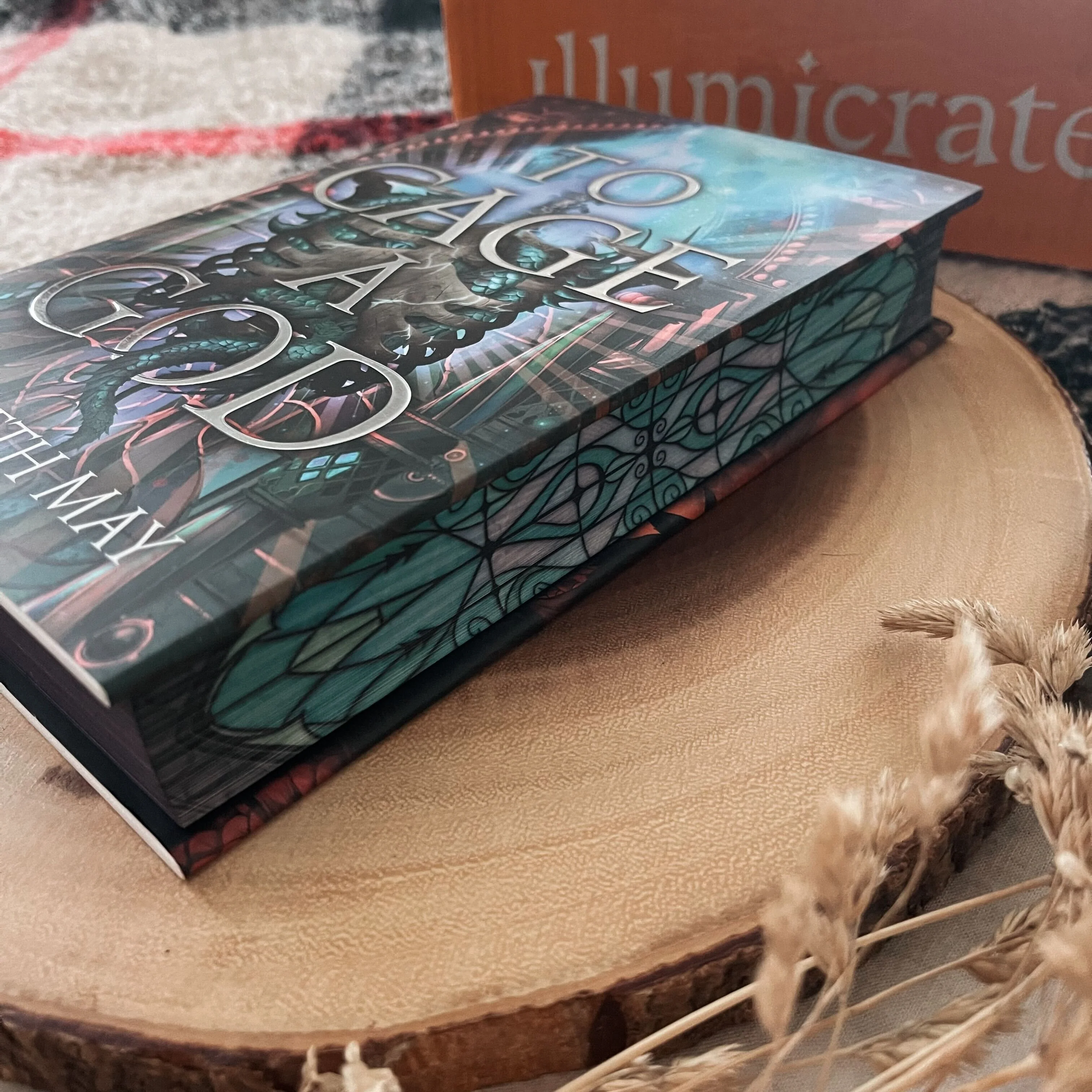 To Cage A God by Elizabeth May Book Only (Illumicrate 'Caged Hearts' Exclusive) - Image 4